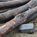 Screen Shot 2018-12-31 at 11.44.02 AM