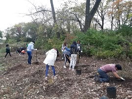 Trailblazers Volunteer Days