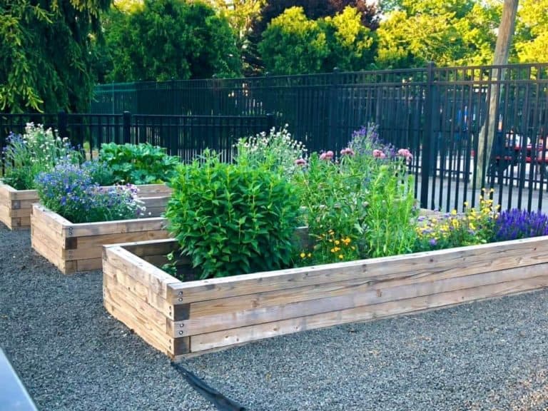 North Bergen residents petition for community garden