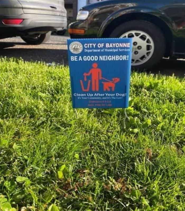 can you be fined for dog poop