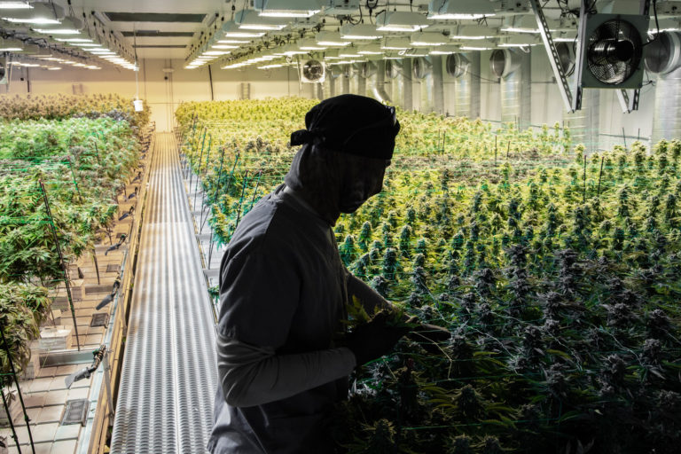 Harmony Dispensary receives state approval for recreational cannabis sales