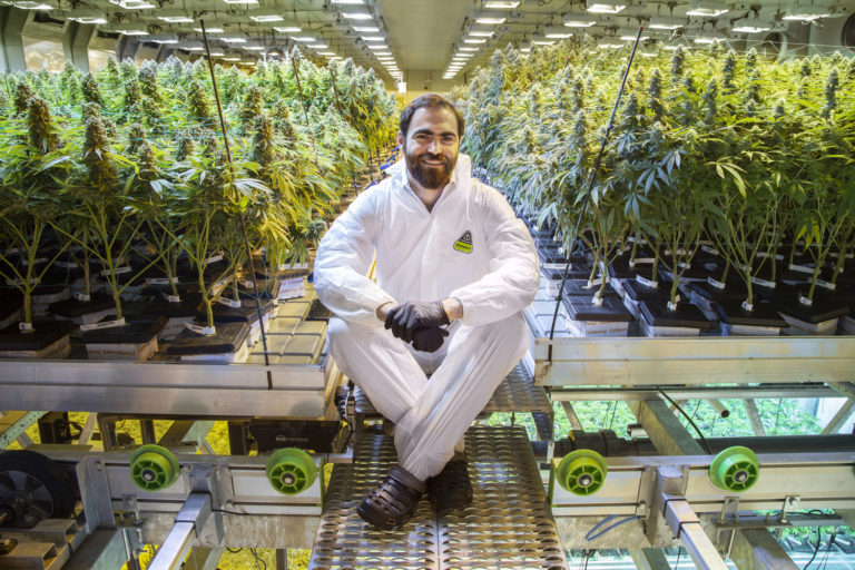 Prior to state approval for recreational cannabis sales, workers at Harmony Dispensary unionized