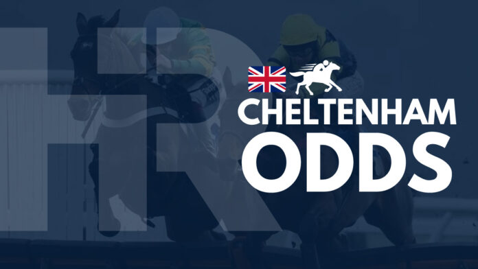 Cheltenham-odds