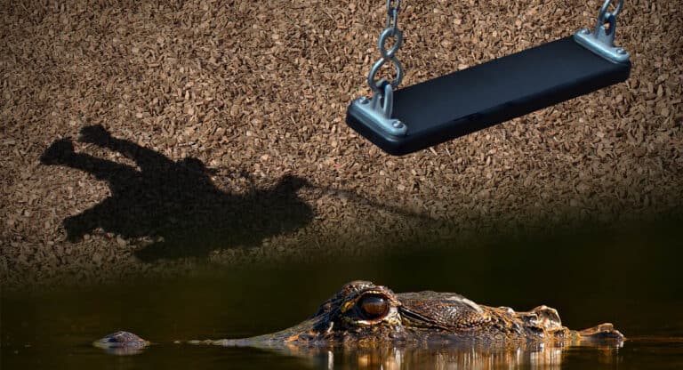 Florida Toddler Found in Alligator’s Mouth Died of Drowning