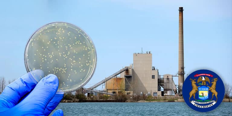 Fungal Outbreak at Michigan Paper Mill Claims Life, Infects Nearly 100