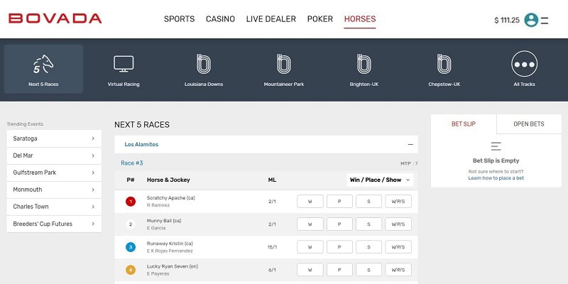 California Online Sports Betting: Top Sportsbooks (2023)