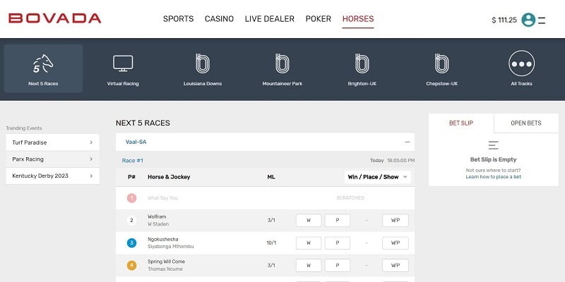 Top 10 Betting Sites for Horse Racing in Washington State