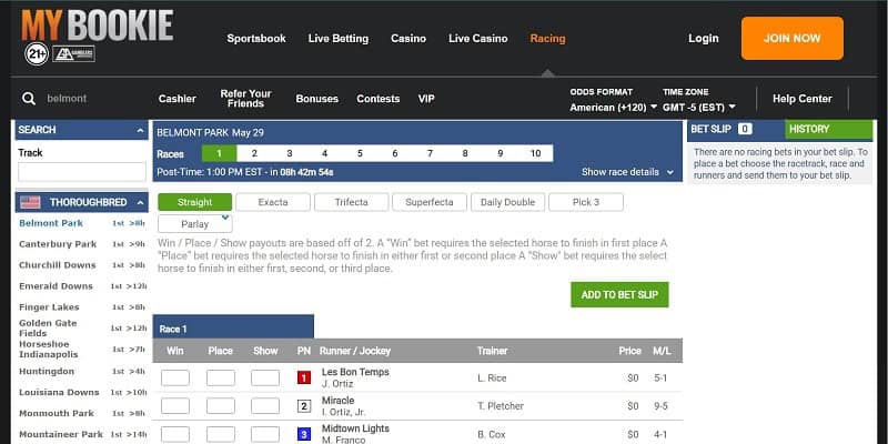 Top 10 Betting Sites for Horse Racing in Washington State