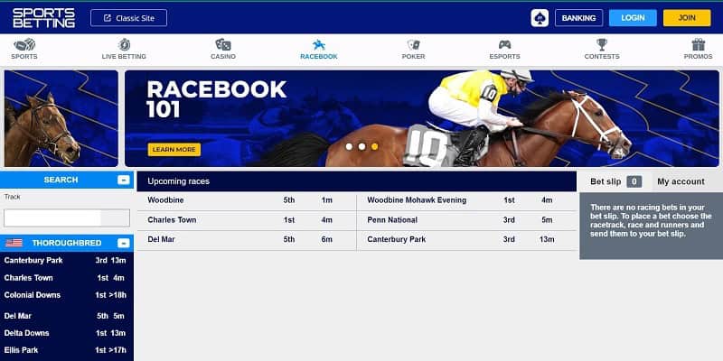 horse betting sites