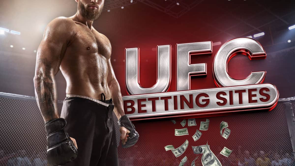 How to bet on MMA? Expert advice 