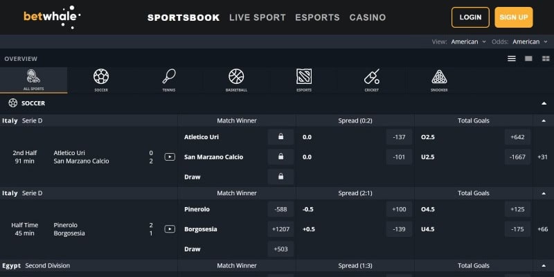 Betwhale Sports