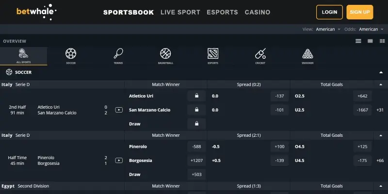 Betwhale Sports