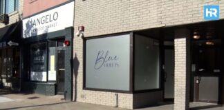 Hoboken's Blue Violets