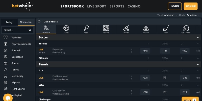 betwhale sports