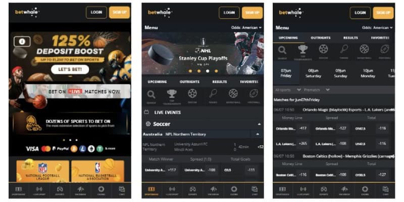 Betwhale Sports Mobile