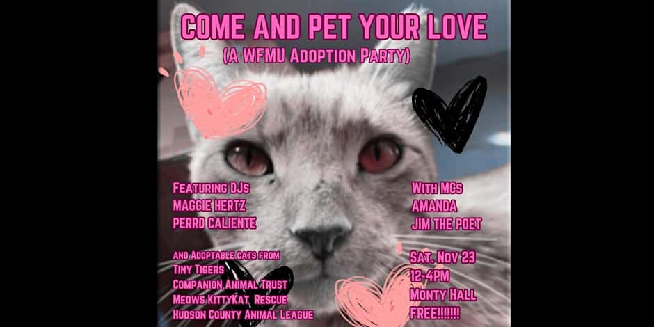 Come and Pet Your Love : Cat Adoption Party