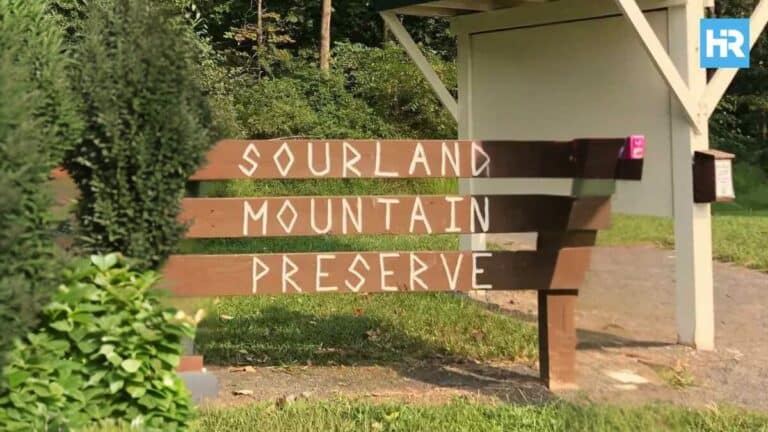 7 Best Hikes in NJ You’ll Want to Try