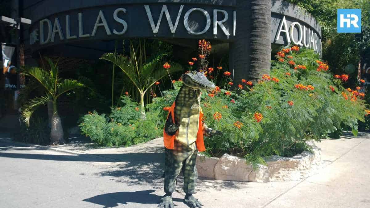 The Gambler on the Road visiting the Dallas World Aquarium