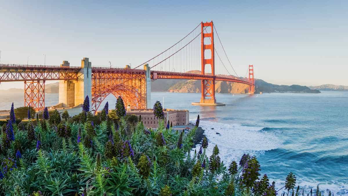 California's Must-See Wonders