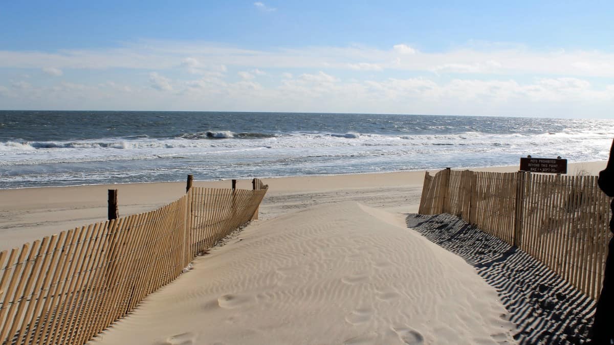 Fenwick Island State Park