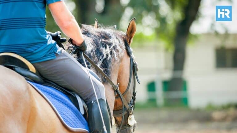 Horse Disciplines, Types, and Styles of Horse Riding: A Complete Guide for Every Rider