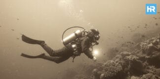 The Complete History Of Diving FI