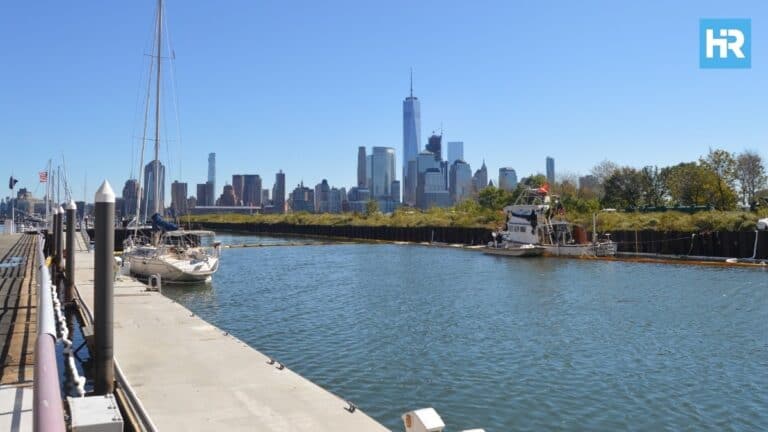 Wildlife Spotted Along Hudson Waterfront: Foxes, Coyotes, and More Return