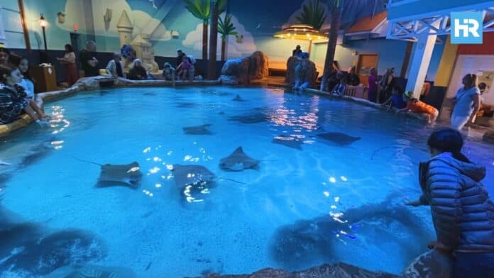 adventure-aquarium Adventure Aquarium