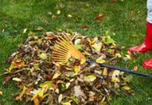 Jersey City Extends Leaf Collection