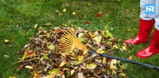 Jersey City Extends Leaf Collection