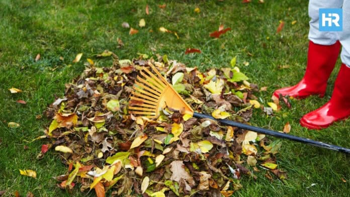 Jersey City Extends Leaf Collection
