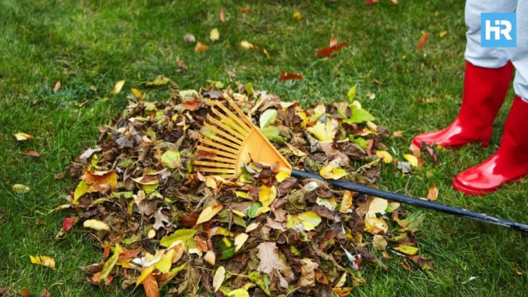 Jersey City Continues Fall Leaf Pickup and Recycling Drive Through December