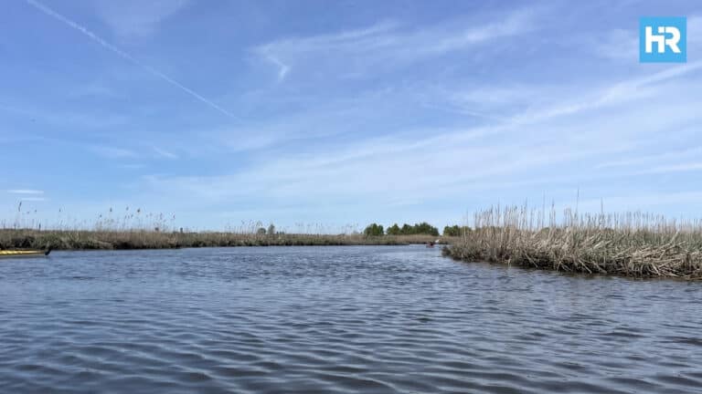 New Jersey Wetlands Remain Protected as Federal Rules Are Scaled Back