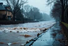 jersey-city-flood-risk-public-assets-study